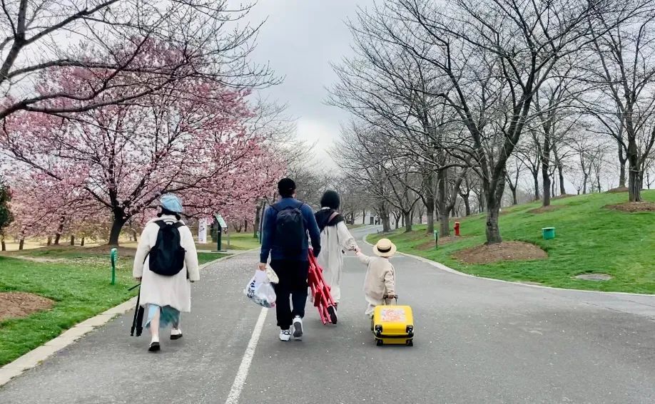 苹果手机梯子全局模式怎么开启,苹果手机梯子全局模式怎么开启不了