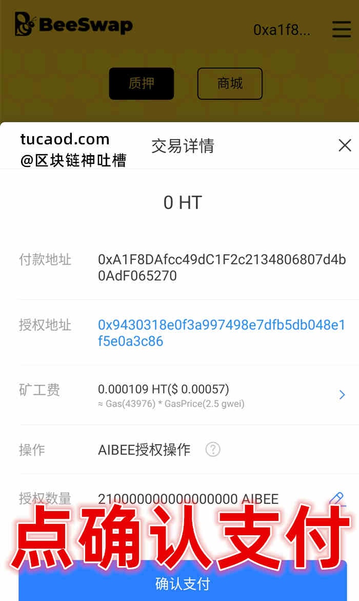 tokenpocket怎么下载,tokenpocket苹果版安装教程