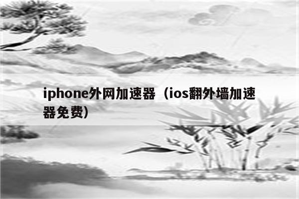 iphone怎么翻去外网,国内上twitter用什么加速器