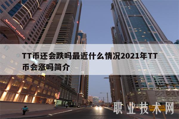 tt币软件,tt币骗局曝光