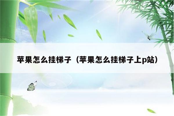 苹果梯子不能用了,iphone梯子是什么意思