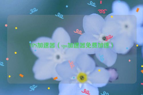 手机vps加速器外网怎么用的呀,手机vps加速器外网怎么用的呀视频