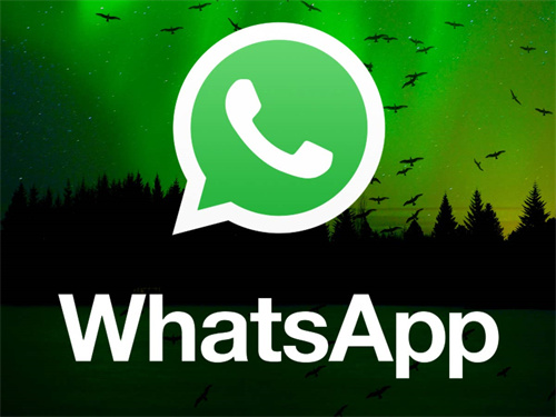 whatsappbusiness官网,whatsappbusiness官网下载