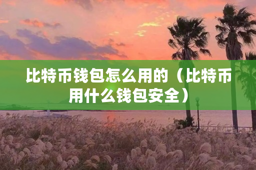 比特币从冷钱包转出需要多久到账,比特币从冷钱包转出需要多久到账户