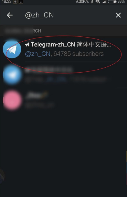 纸飞机中文包群,纸飞机中文搜索群组
