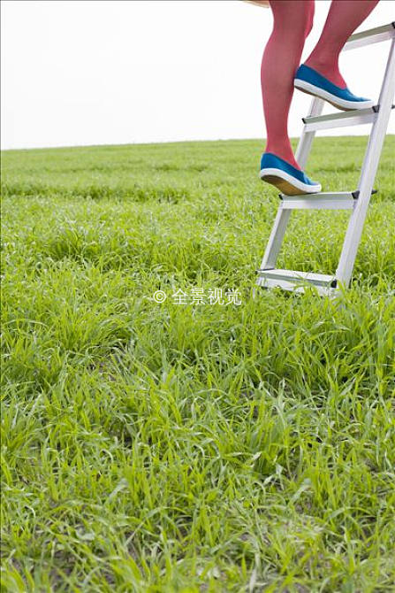 梯子手机,梯子手机可以用电脑用不了