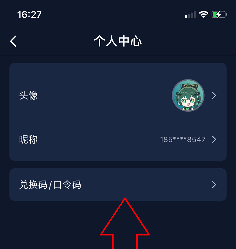 飞鸟加速器免费下载,飞鸟加速器v230