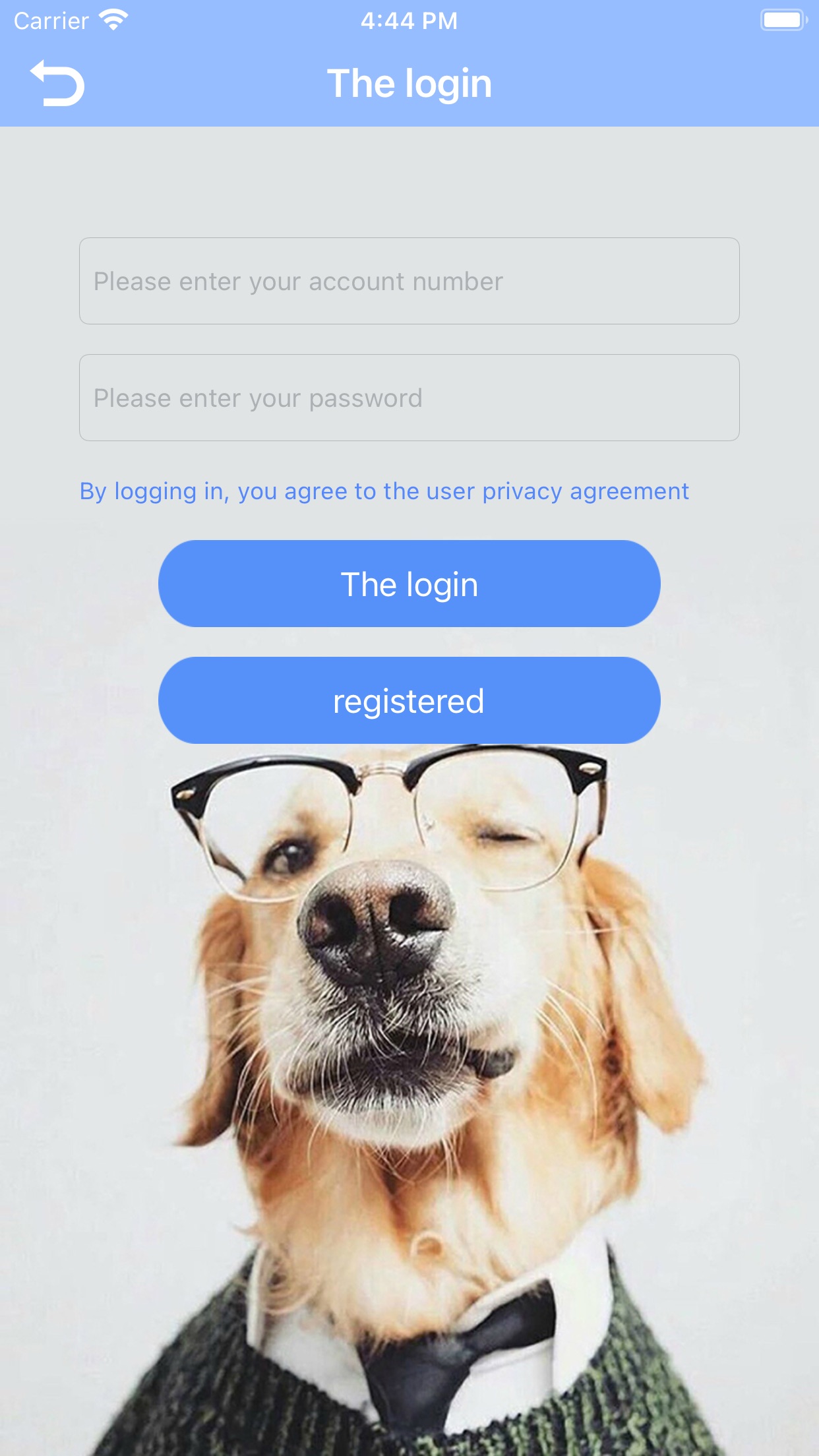 metamask下载官网app,download metamask today