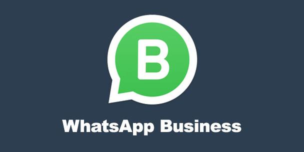 Whatsapp官网安卓下载,whatsapp官方网下载2021