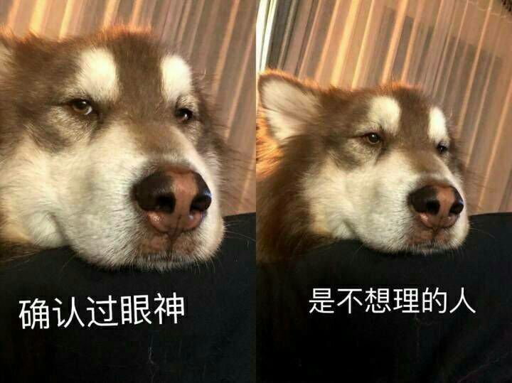 玩币圈的人干净吗,玩币圈的人缺的不是钱