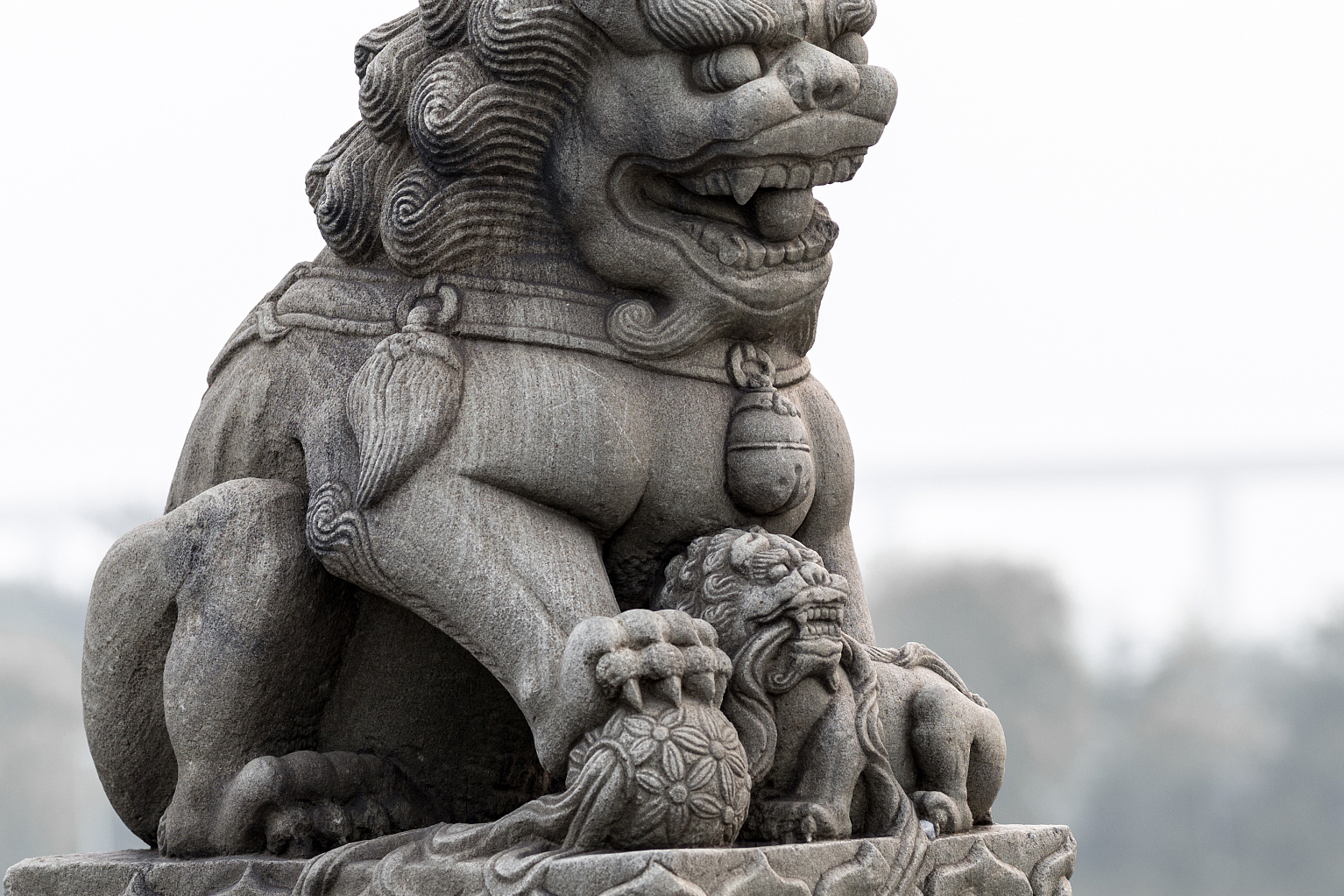 玄机一六将来寻指什么生肖,玄机来料,网上资料大全