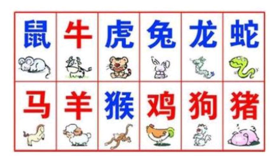 包含细羊捉玄机开过什么动物的词条