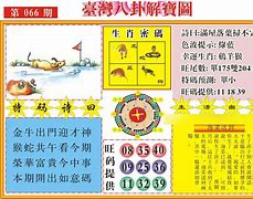 今期买马输精光,广东人买马是什么意思